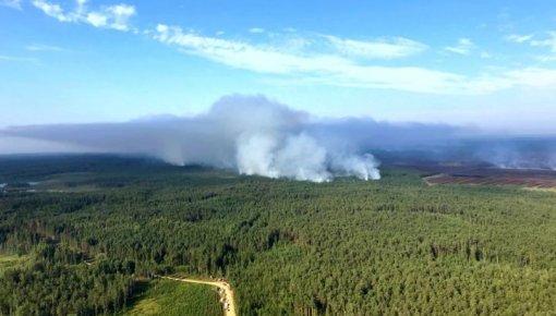 Дым от лесного пожара под Талси создал смог на севере Литвы