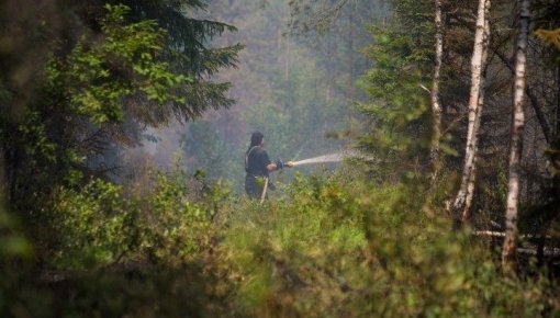 Пожар под Талси: пламя удалось удержать