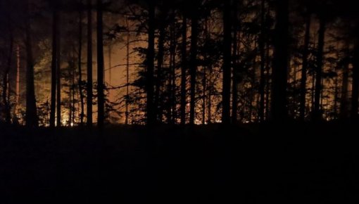 Полиция обратилась к населению за помощью