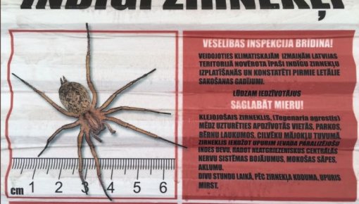 ������� ���� ������ ��������� �������