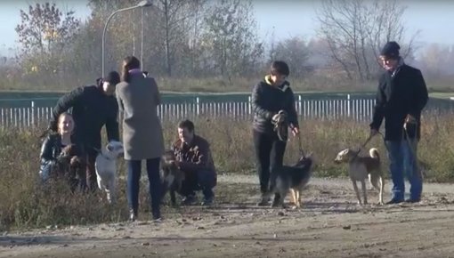 Активисты Латгальской партии приняли участие в акции «Неделя добрых дел» (ВИДЕО)