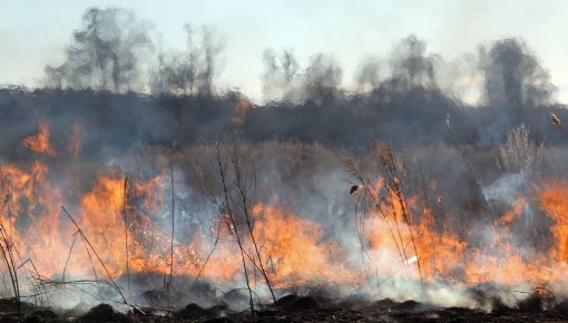 В минувшие сутки произошло шесть пожаров прошлогодней травы
