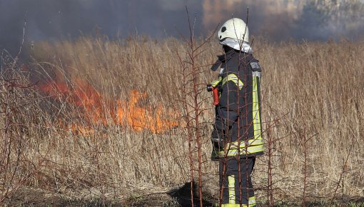 Вчера в Даугавпилсе произошел первый поджог сухой травы