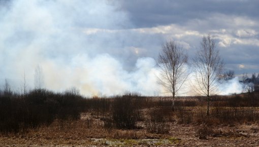 В Даугавпилсе горели старник и мусор (уточнено)