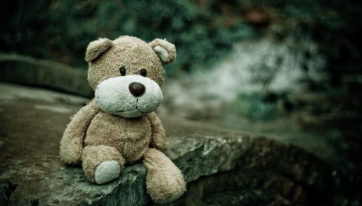 ������ ��������� ����