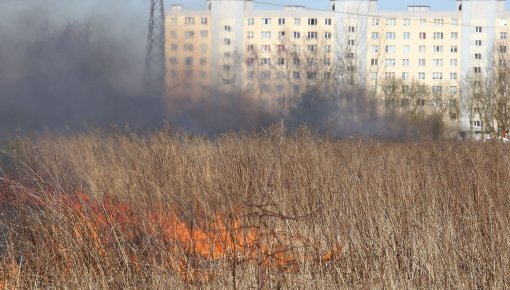 Данные спутников: сжигание травы в Латвии менее распространено, чем в России и Украине