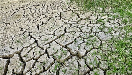 � ����� ��-�� ������ ���������� �������� ������������ ���������