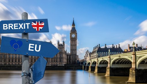 Лондон представил новые правила для мигрантов из Европы после «жесткого Брекзита»