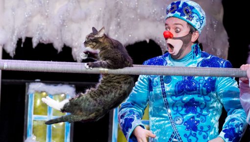 «Театр кошек Куклачева» представляет необычный Новогодний спектакль «Зимняя сказка»! (ВИДЕО)