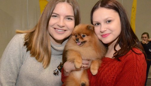 Чем заняться в выходные в Даугавпилсе?