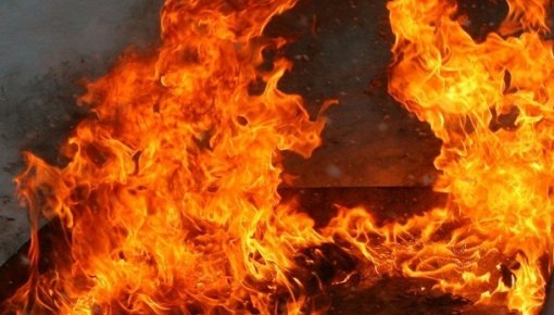 Вместе со старником горят здания
