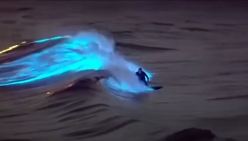 ������� ������� �� ������ ����������� ����� ������ �� ����� (�����)