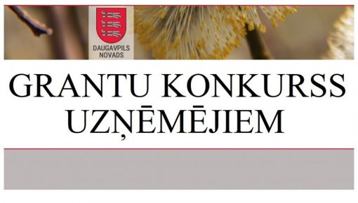 На грант Краевой думы претендовали 11 проектов
