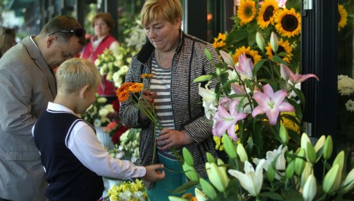 ���� ������ ����� ���������