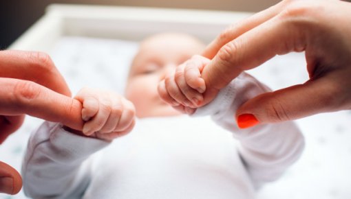 С сегодняшнего дня в ДРБ вновь доступны семейные роды