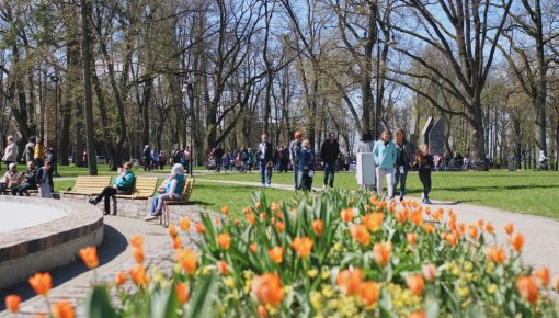 День Победы: 4 административных и 1 уголовный процесс