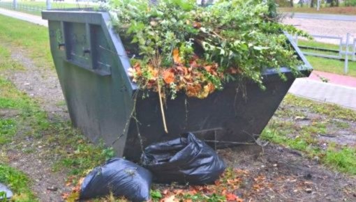 ������ ���������� ���� ������� �����, ����� ��������� �������� ����