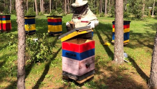 ������ ����� ������ ������ � �������