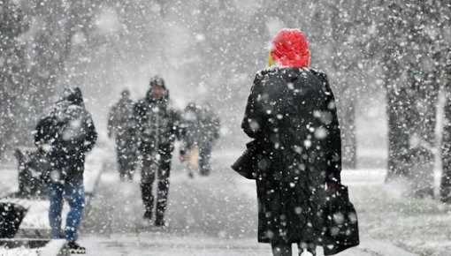 ������� ������ �������� � �������� ������������ �� ������� �� ����������