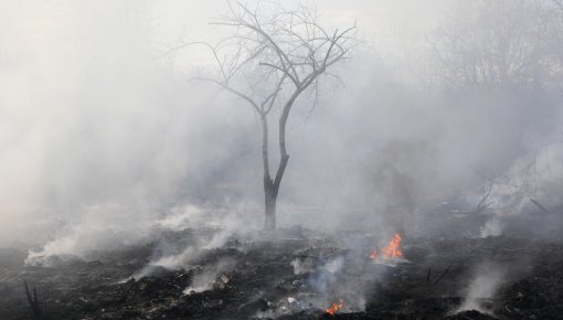 Под Дагдой произошел серьезный пожар