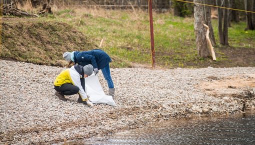 В лесах - более 2600 загрязненных мусором мест. Выходите на Большую толоку!