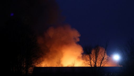 Вместе со старником сгорели семь садовых домиков