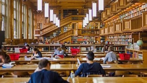 Эксперт: интерес к зарубежным вузам у молодежи вырос в разы