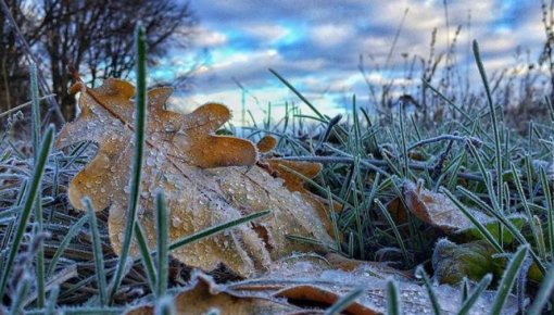 Синоптики о грядущих осени и зиме: «Прогнозы обнадеживают»