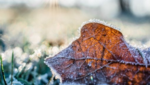 Сегодняшнее утро станет самым холодным на этой неделе