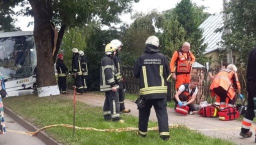 Водителя литовского автобуса ужалило насекомое. Пострадали 14 пассажиров