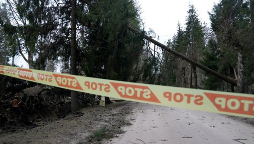 В выходные дни в Латвии ожидается разрушительный ветер