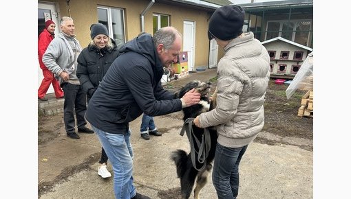 Daugavpils siltumtīkli       ,    