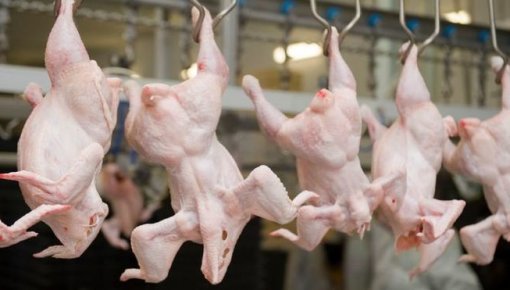 Financial Times: финансирование Европой украинского куриного магната возмущает европейских фермеров