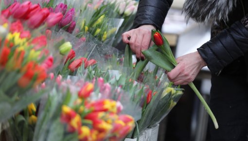 На улицах города началась продажа цветов к 8 марта (СПИСОК мест торговли)