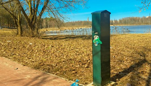 Фотофакт: урны с собачьими экскрементами на Губище переполнены