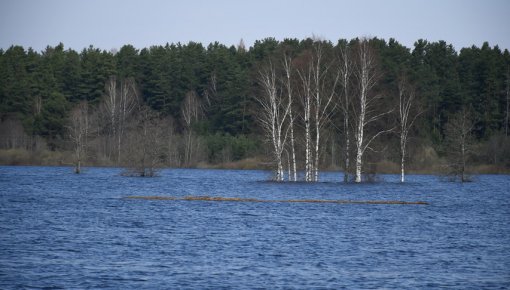Природный парк “Dvietes paliene” приглашает насладиться пятым временем года