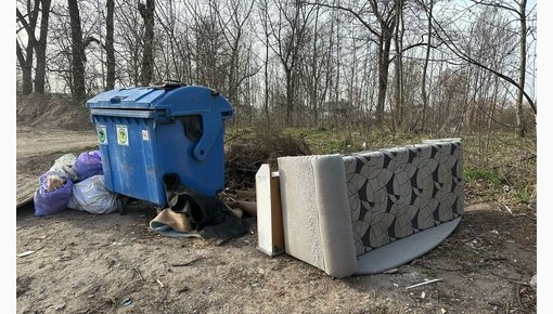 Горожане ежемесячно выкидывают у мусорников по 25 т диванов и бытовой техники