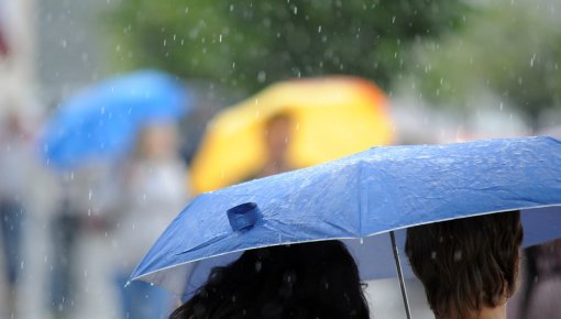 Как в бане: на следующей неделе нас ждут жара и ливни