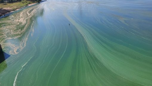 Это нефть? Жители обеспокоены маслянистыми пятнами на воде