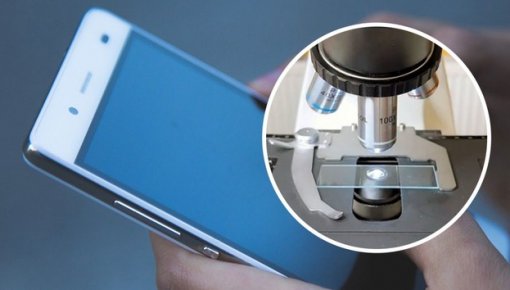 Лучше не смотреть: что живет на смартфоне?