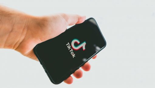  TikTok:    