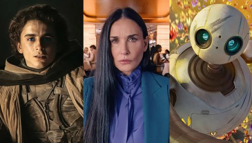 Десять лучших фильмов 2024 года: подборка от The Hollywood Reporter