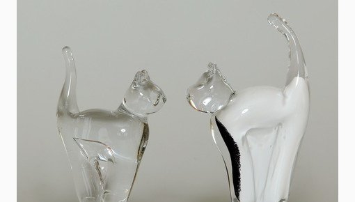В Ливанском центре стекла и ремёсел тоже появились чудесные котики! (+ВИДЕО)