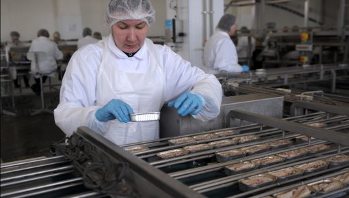 У рыбопереработчиков нет выхода: скоро шпроты будут стоить 6-7 евро за банку