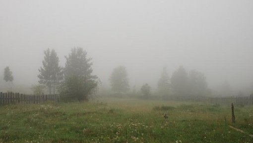 Синоптик напомнил, что прохладное лето в Латвии - это нормально