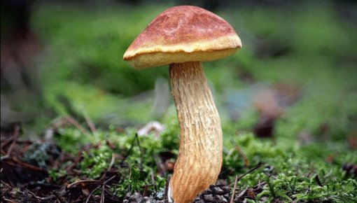 ����� ���������� ������� � ����� ������