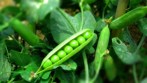 ������ ������� ���������! ������� ������ ���������� �������� ��� ����� � ����