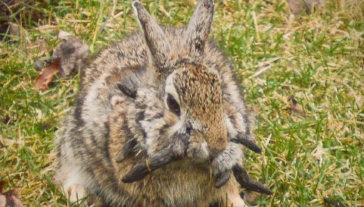 ��� ���! � ����� ����������� �������� �������-����� � ������� � ����������