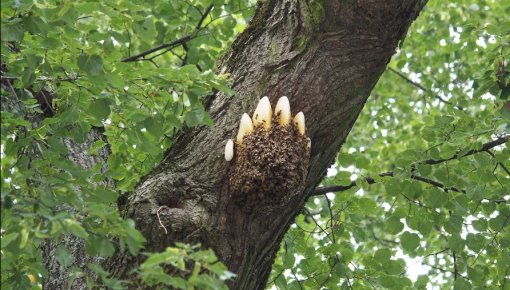 � ��� ��� �� �������� ���� � ������������ ����?