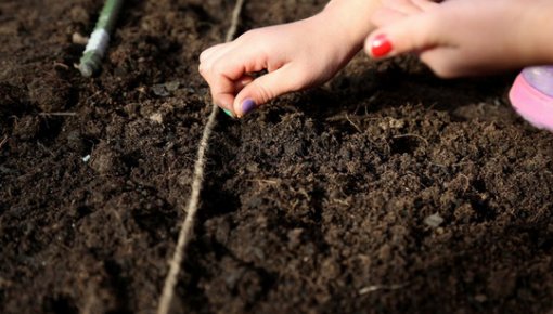 ��������� �����: ����� ����� � ������ ����� ������ ������